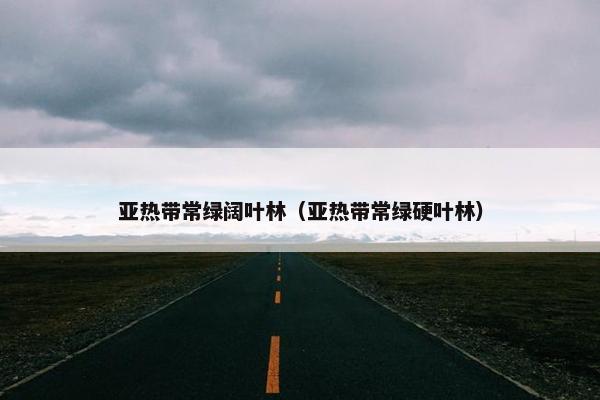 亚热带常绿阔叶林（亚热带常绿硬叶林）