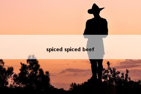 spiced spiced beef