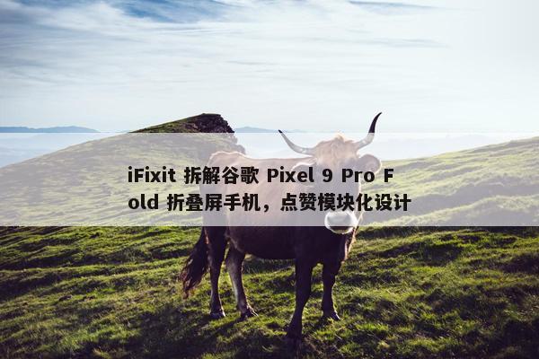 iFixit 拆解谷歌 Pixel 9 Pro Fold 折叠屏手机，点赞模块化设计