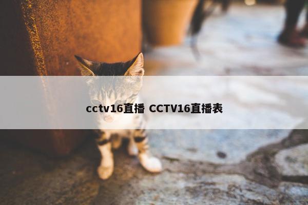 cctv16直播 CCTV16直播表