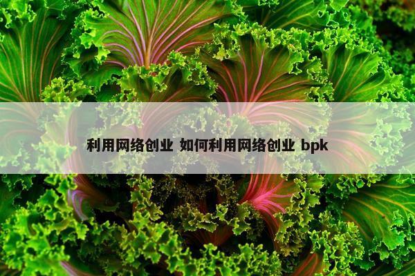 利用网络创业 如何利用网络创业 bpk