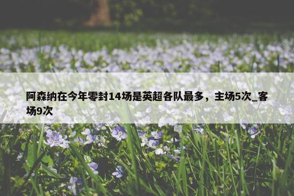 阿森纳在今年零封14场是英超各队最多，主场5次_客场9次