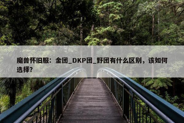 魔兽怀旧服：金团_DKP团_野团有什么区别，该如何选择？