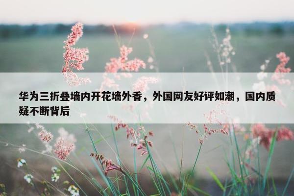 华为三折叠墙内开花墙外香，外国网友好评如潮，国内质疑不断背后