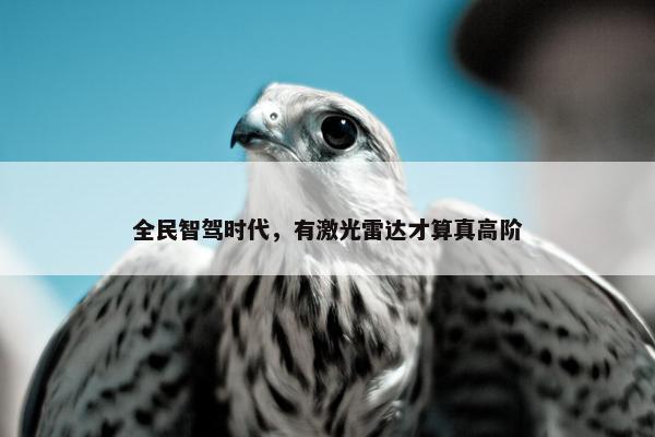 全民智驾时代，有激光雷达才算真高阶