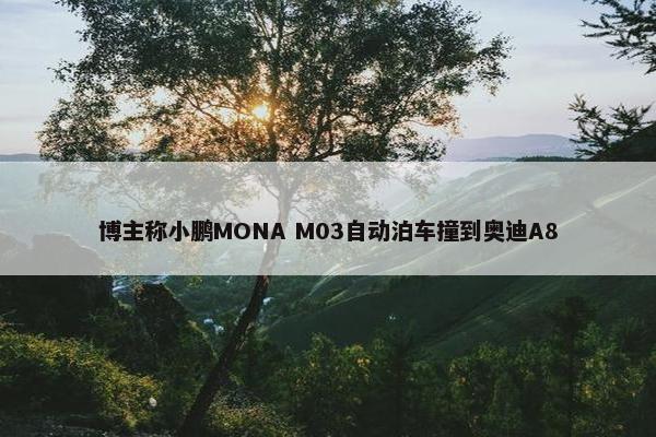 博主称小鹏MONA M03自动泊车撞到奥迪A8