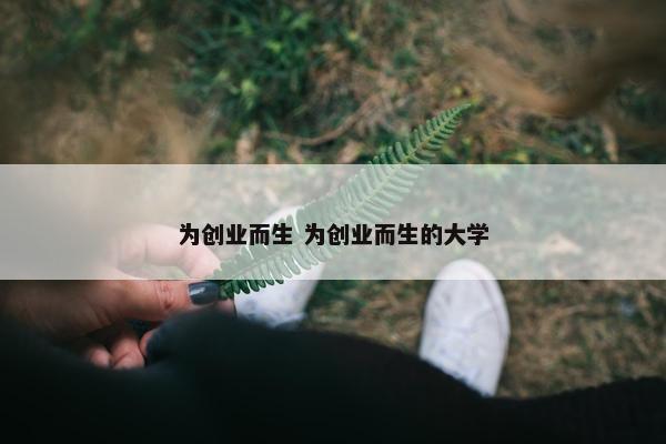 为创业而生 为创业而生的大学