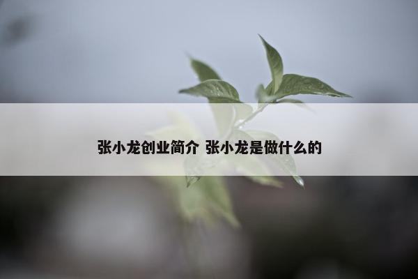 张小龙创业简介 张小龙是做什么的