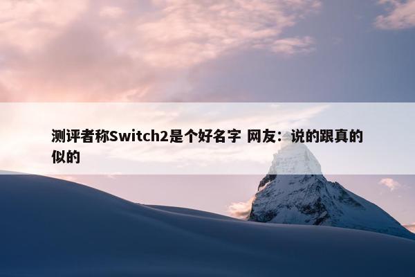 测评者称Switch2是个好名字 网友：说的跟真的似的