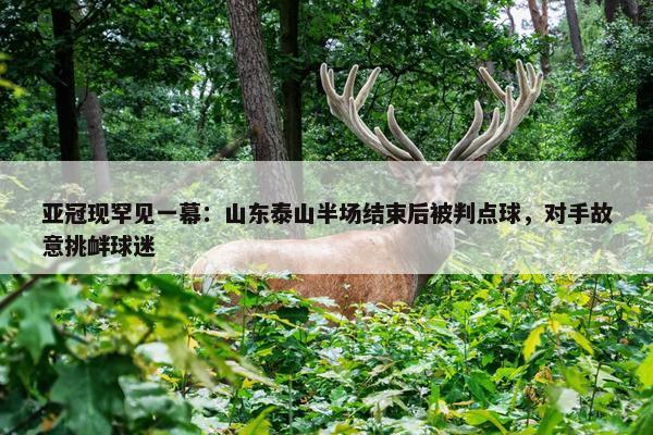 亚冠现罕见一幕：山东泰山半场结束后被判点球，对手故意挑衅球迷