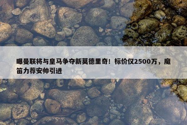 曝曼联将与皇马争夺新莫德里奇！标价仅2500万，魔笛力荐安帅引进