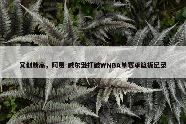 又创新高，阿贾-威尔逊打破WNBA单赛季篮板纪录