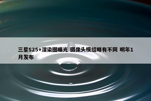 三星S25+渲染图曝光 摄像头模组略有不同 明年1月发布