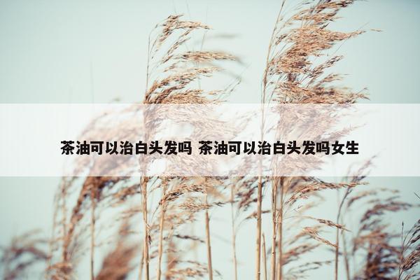 茶油可以治白头发吗 茶油可以治白头发吗女生