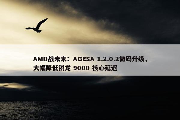 AMD战未来：AGESA 1.2.0.2微码升级，大幅降低锐龙 9000 核心延迟