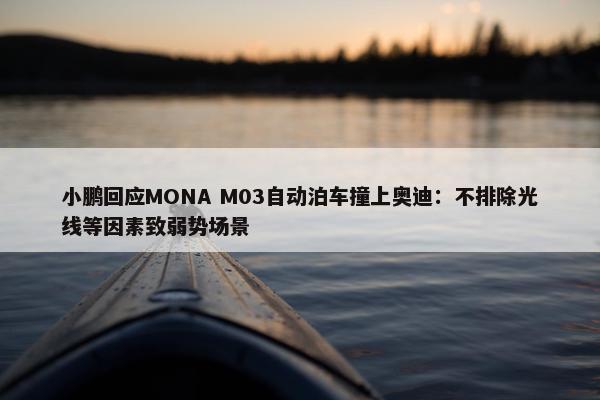 小鹏回应MONA M03自动泊车撞上奥迪：不排除光线等因素致弱势场景