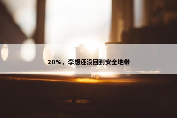 20%，李想还没回到安全地带