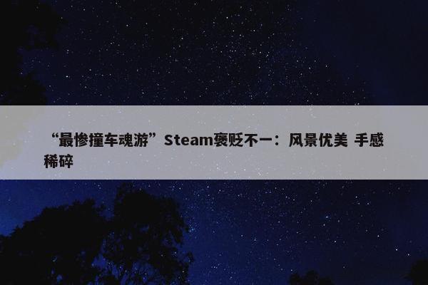 “最惨撞车魂游”Steam褒贬不一：风景优美 手感稀碎