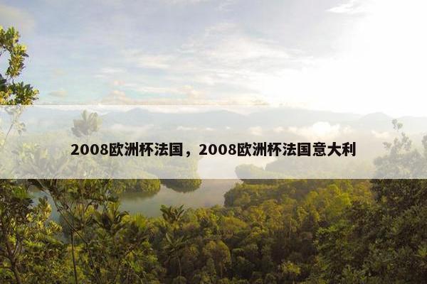 2008欧洲杯法国，2008欧洲杯法国意大利