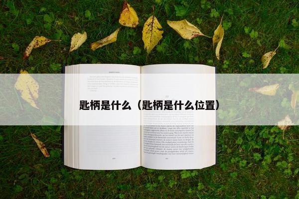 匙柄是什么（匙柄是什么位置）