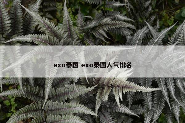 exo泰国 exo泰国人气排名