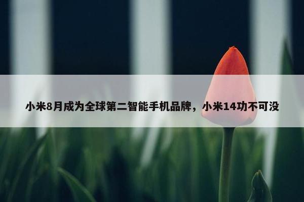 小米8月成为全球第二智能手机品牌，小米14功不可没