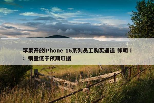 苹果开放iPhone 16系列员工购买通道 郭明錤：销量低于预期证据