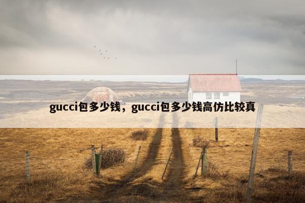 gucci包多少钱，gucci包多少钱高仿比较真