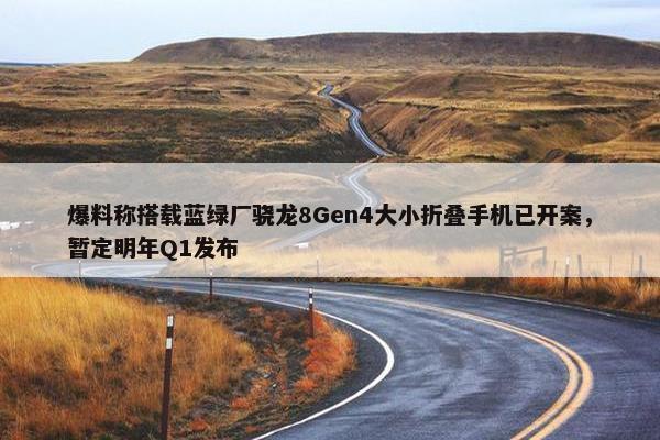 爆料称搭载蓝绿厂骁龙8Gen4大小折叠手机已开案，暂定明年Q1发布