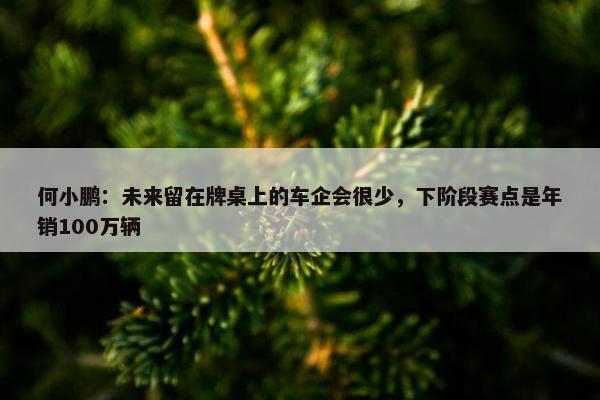 何小鹏：未来留在牌桌上的车企会很少，下阶段赛点是年销100万辆