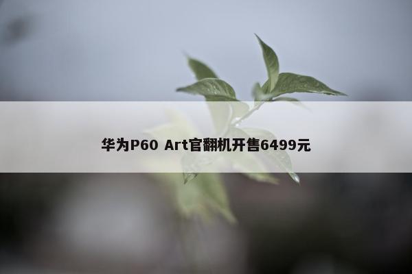 华为P60 Art官翻机开售6499元