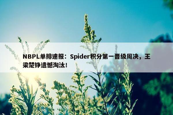 NBPL单排速报：Spider积分第一晋级周决，王梁楚铮遗憾淘汰！