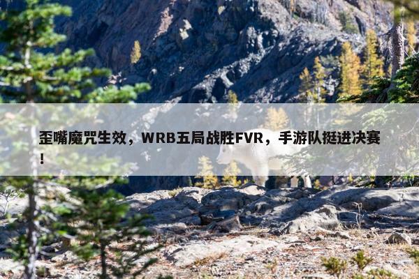 歪嘴魔咒生效，WRB五局战胜FVR，手游队挺进决赛！