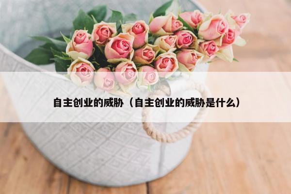 自主创业的威胁（自主创业的威胁是什么）