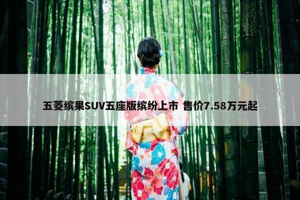 五菱缤果SUV五座版缤纷上市 售价7.58万元起