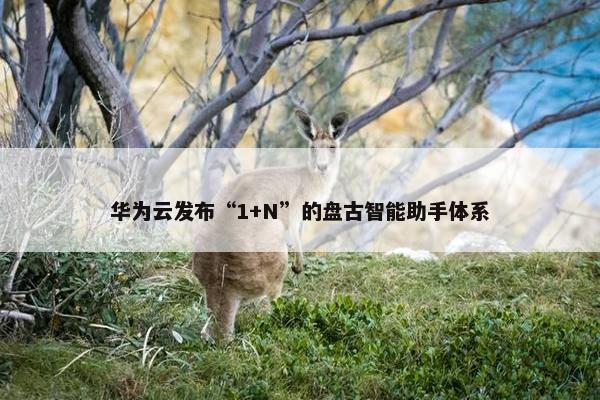 华为云发布“1+N”的盘古智能助手体系