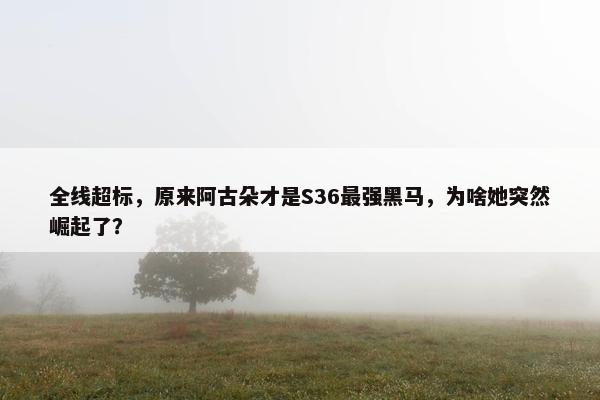 全线超标，原来阿古朵才是S36最强黑马，为啥她突然崛起了？