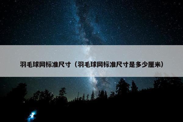 羽毛球网标准尺寸（羽毛球网标准尺寸是多少厘米）