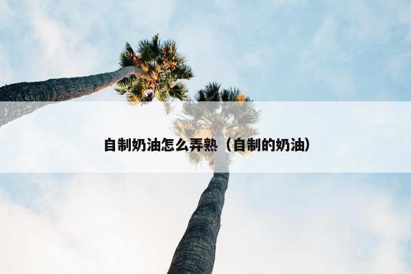 自制奶油怎么弄熟（自制的奶油）