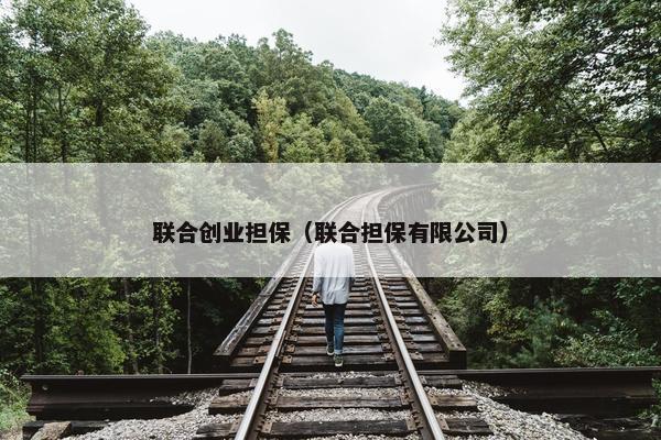 联合创业担保（联合担保有限公司）