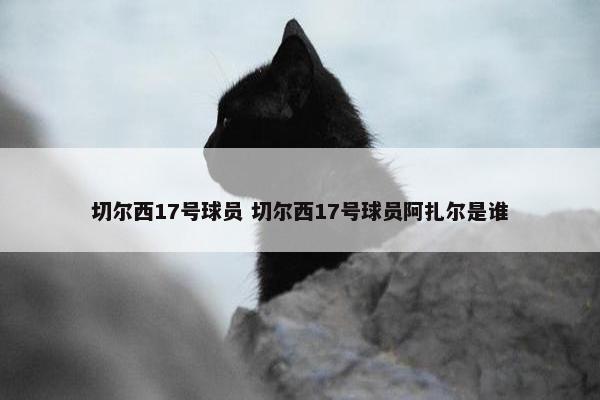 切尔西17号球员 切尔西17号球员阿扎尔是谁