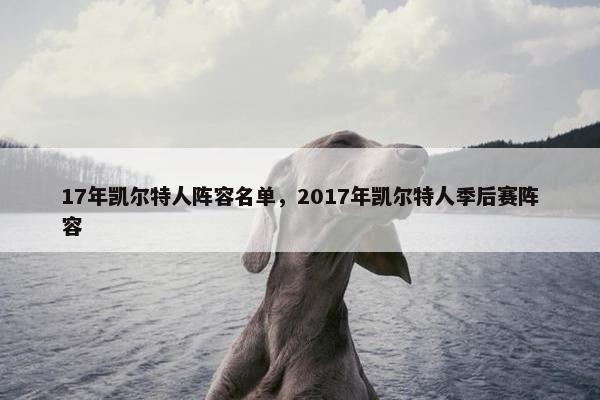 17年凯尔特人阵容名单，2017年凯尔特人季后赛阵容