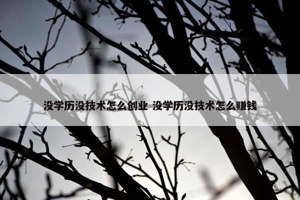 没学历没技术怎么创业 没学历没技术怎么赚钱