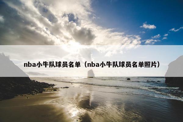 nba小牛队球员名单（nba小牛队球员名单照片）