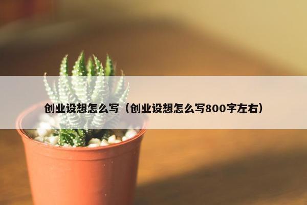 创业设想怎么写（创业设想怎么写800字左右）