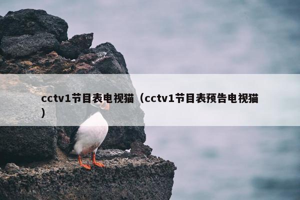 cctv1节目表电视猫（cctv1节目表预告电视猫）