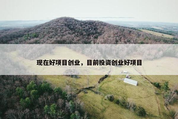 现在好项目创业，目前投资创业好项目