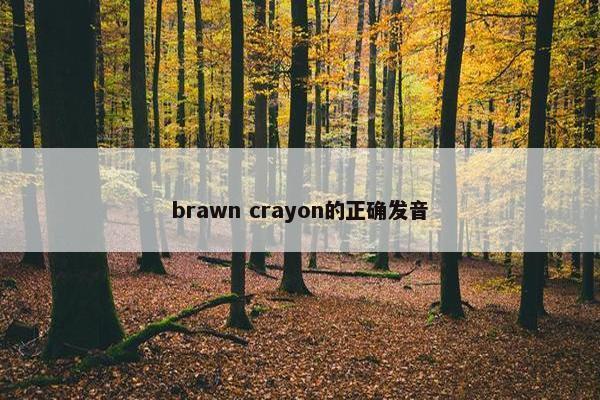 brawn crayon的正确发音