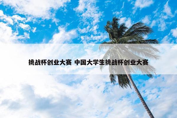 挑战杯创业大赛 中国大学生挑战杯创业大赛