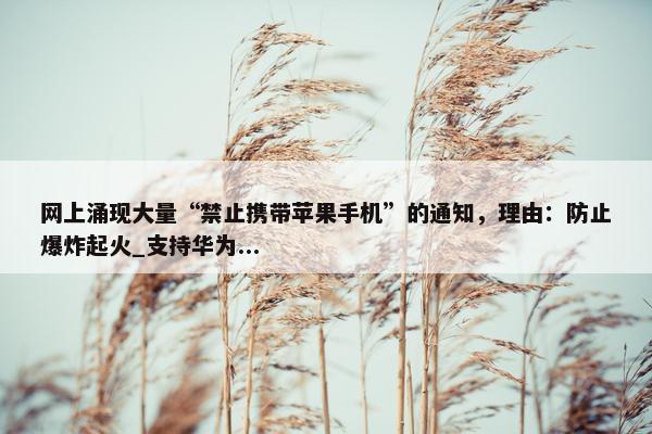 网上涌现大量“禁止携带苹果手机”的通知，理由：防止爆炸起火_支持华为...